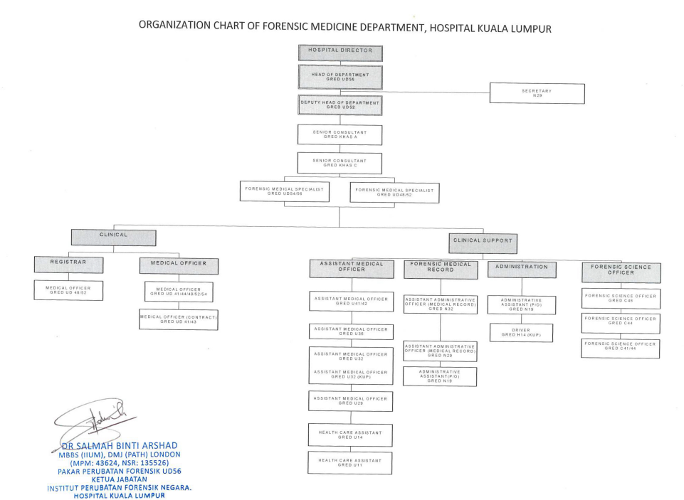 Chart Forensik