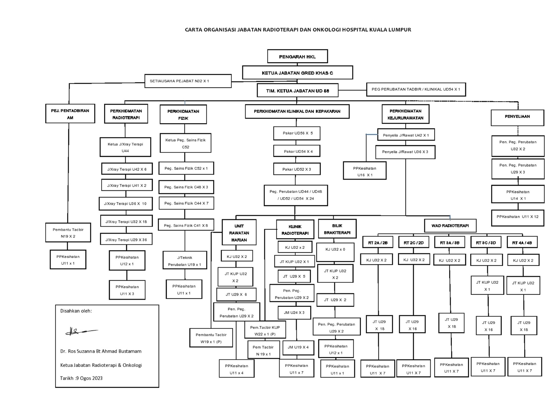 Chart Radioterapi